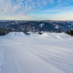 Co warto wiedzieć o białej szkole – praktyczne informacje